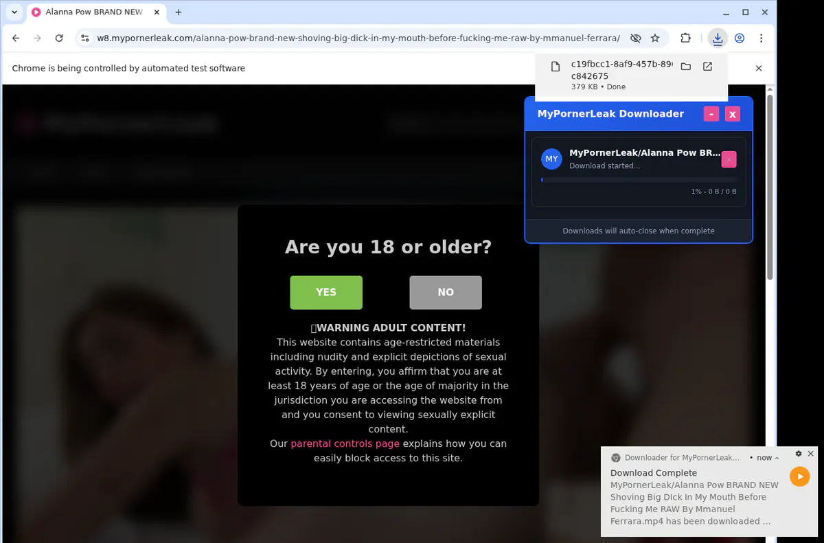 Mypornerleak Video Downloader screenshot 2
