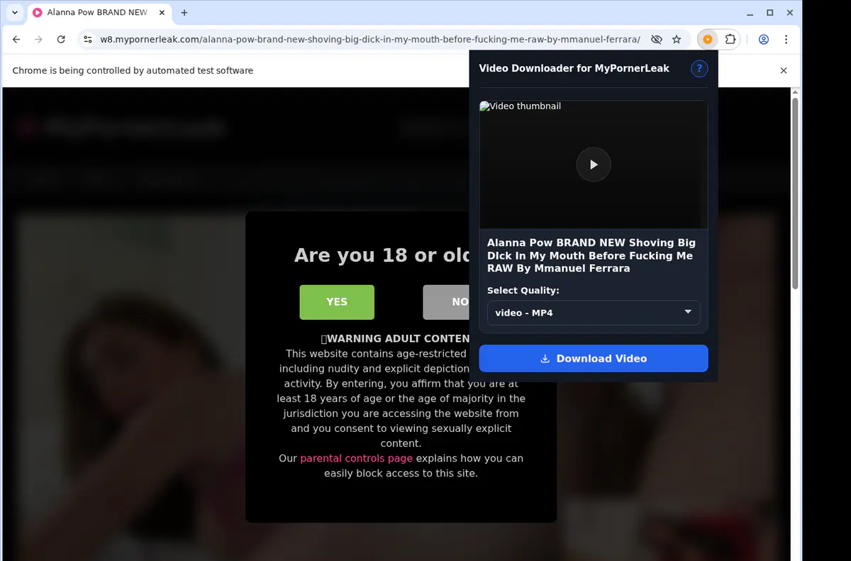 Mypornerleak Video Downloader screenshot 3